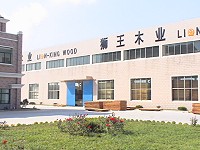 Dlionkingtimber cɷŴ