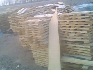 D˾(ni)(sh) c(din)ɷŴ