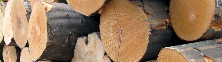 DƺdľI(y)޹˾ WޙľI(y)(yng) c(din)ɷŴ