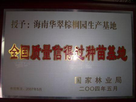 Dȫ|(zh)ŵ^N c(din)ɷŴ