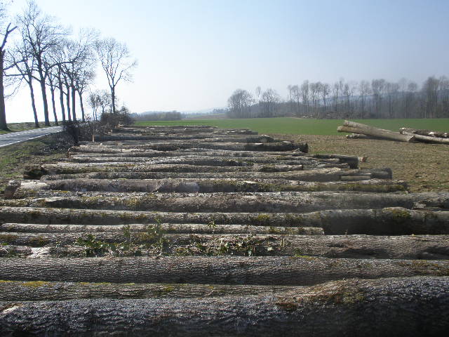 Dֈ(chng) c(din)ɷŴ