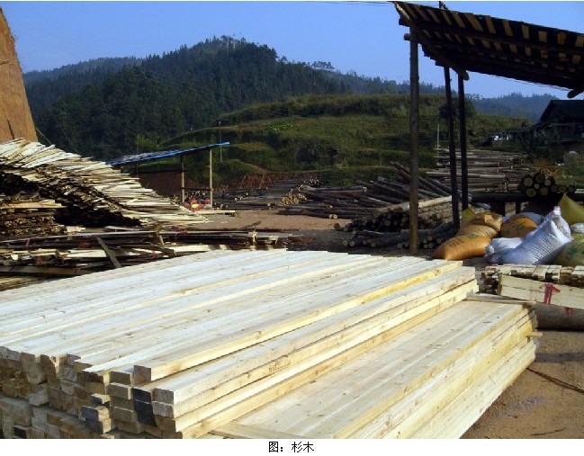 Ḍɼľ(bio)(zhn)l c(din)ɷŴ