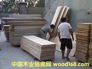 D|vľI(y) c(din)ɷŴ