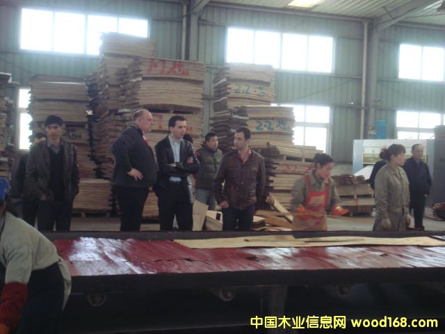 Da(chn)F(xin)(chng) c(din)ɷŴ