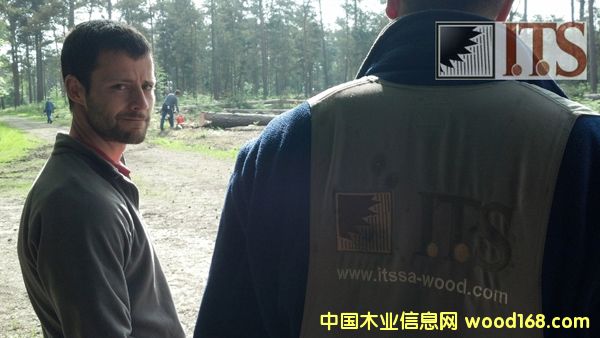 DֈI(y)Matt΢Ц cɷŴ