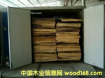 DľĺO(sh) c(din)ɷŴ