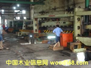 Db޹˾ c(din)ɷŴ