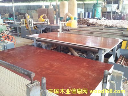 Dόģa(chn)ϵĘƷ cɷŴ