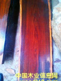 DKݬF(xin)؛ԭľ~̴ֱ35--65L2.8 c(din)ɷŴ