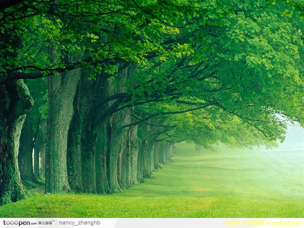 D־ľI(y) c(din)ɷŴ