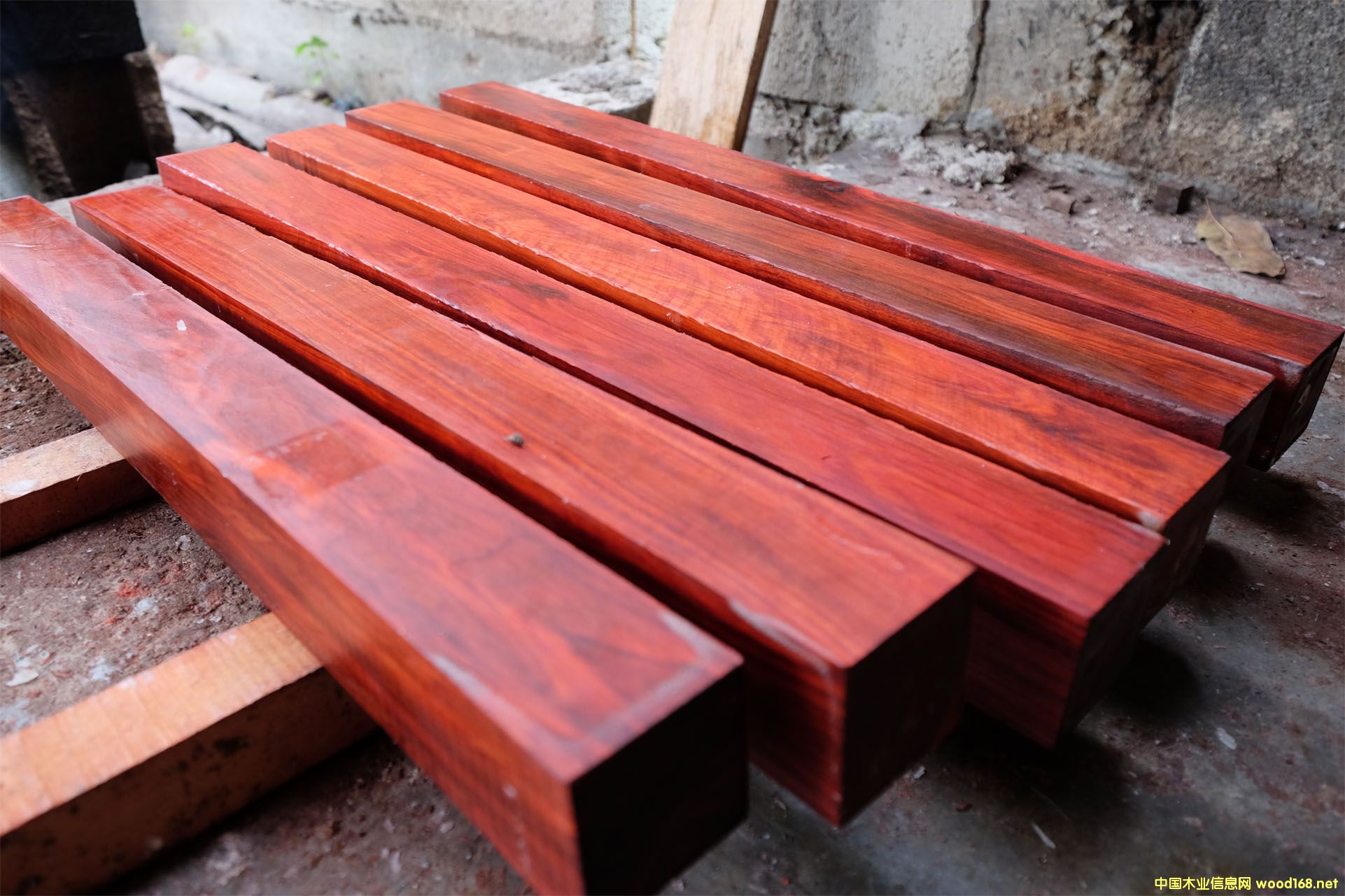 DītľӆϞ?zi)K, Աɫ c(din)ɷŴ