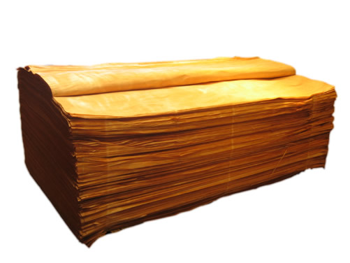 D_(d)һо c(din)ɷŴ