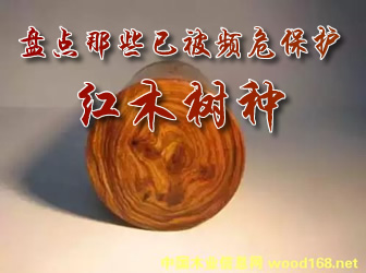 Pc(din)ЩѱlΣo(h)tľN