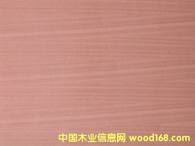 Sapele PlywoodԔ(x)B