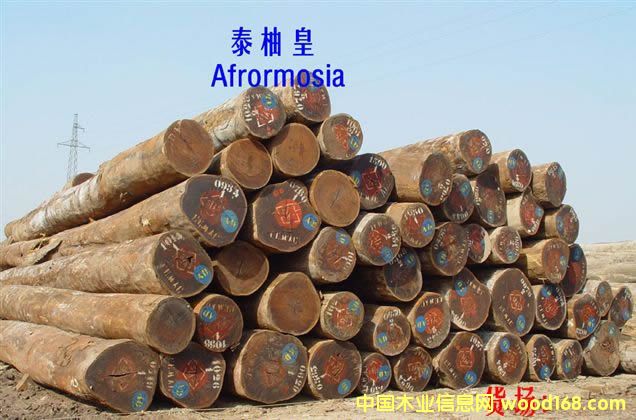 AFRORMOSIA    ľԔ(x)B