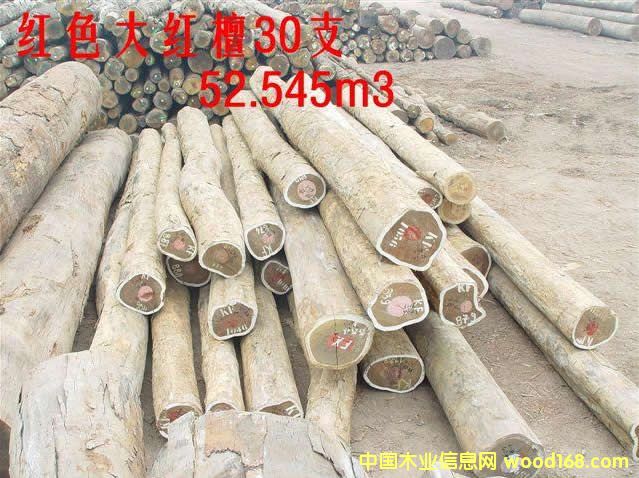 PAO ROSA         t ̴Ԕ(x)B