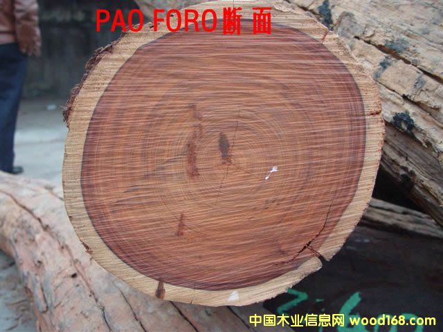 pao rosa       t̴Ԕ(x)B