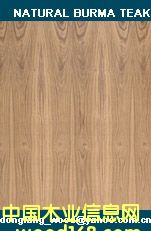 burma teak fancy plywoodԔ(x)B