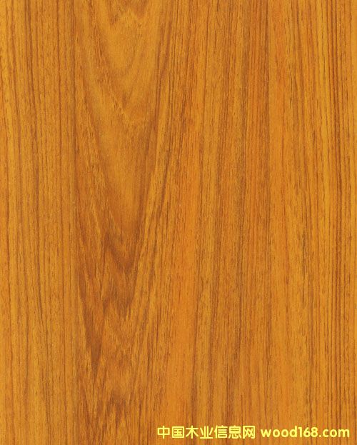 ȻL(fng)(qing)ذԔ(x)B