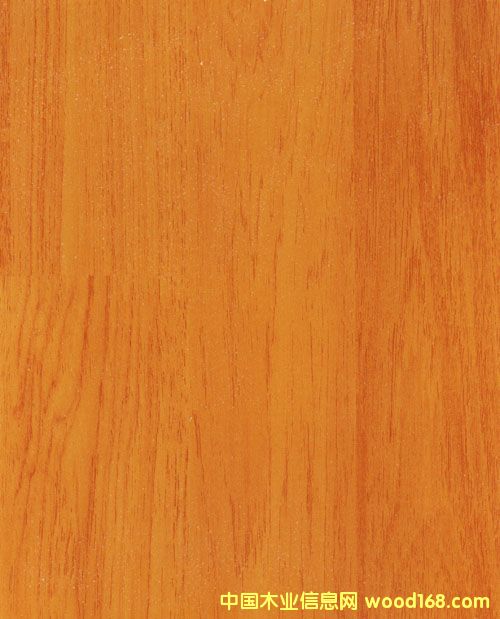 ȻL(fng)(qing)ذԔ(x)B