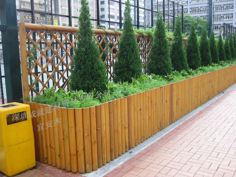 L(zhng)ڹ(yng)ľԔ(x)B