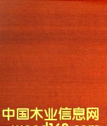 F/t̴(MACARANDUBA)Ԕ(x)B