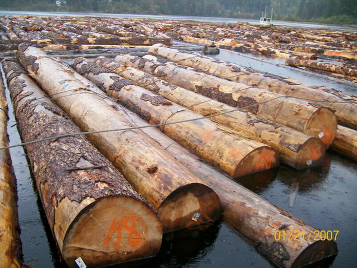 40cm upôFɼԭľԔ(x)B