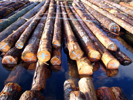 20cm up ôԭľԔ(x)B