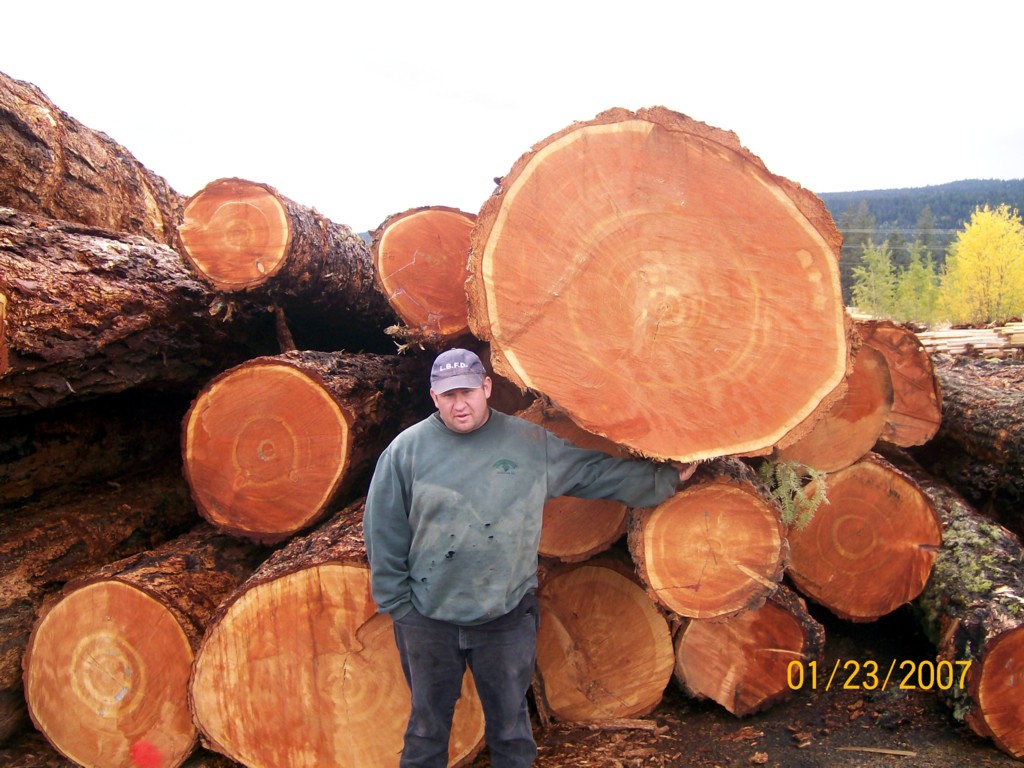 60cm up ôԭľԔ(x)B