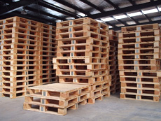 zϰбP|}(cng)؛PzϰбPԔ(x)B