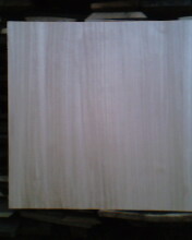 ľƴ+ͩľƴzϰԔ(x)B