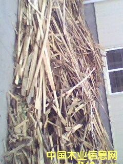 ľмľľмľƤľƬԔ(x)B