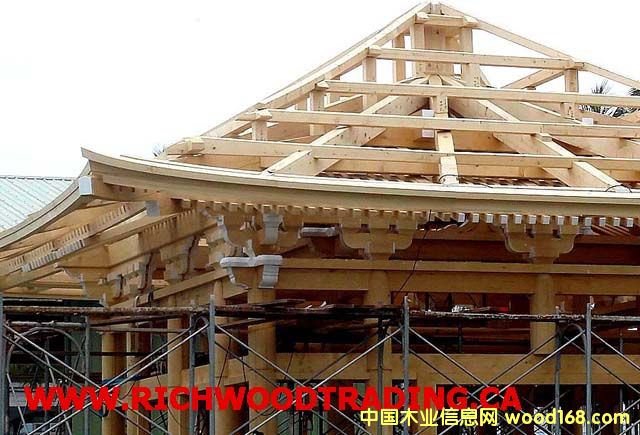 Su (Cypress) / (c) (WesternԔ(x)B