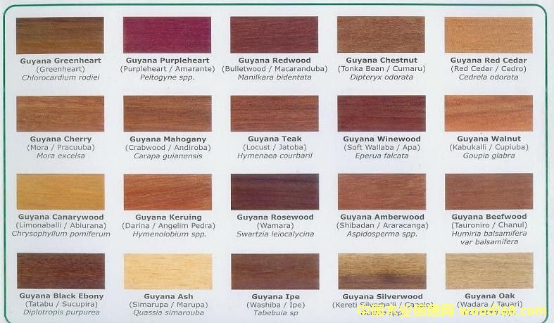 GUYANA WOODSԔ(x)B
