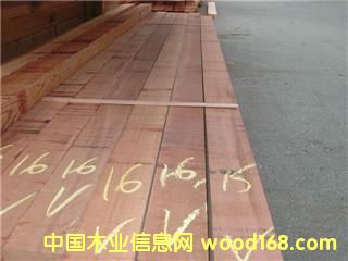 ɼt(c) western red ceda