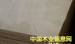 poplar plywoodԔ(x)B