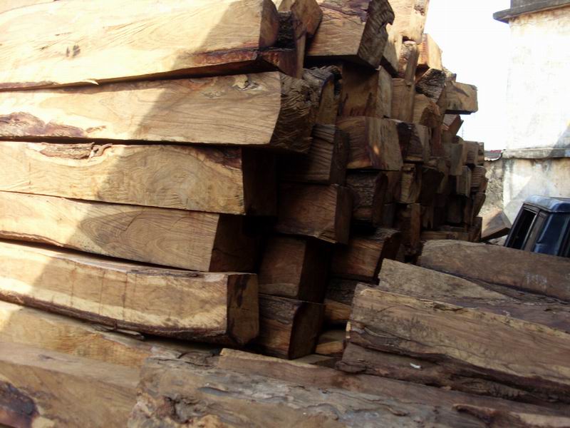 LڬF(xin)؛(yng)ށ棨KOSSOذІΰ//Ԕ(x)B