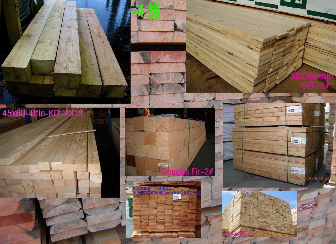 SPF/ɼ/Fɼ//b/Ҿ//bĵԔ(x)B