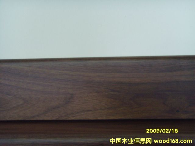 Blank walunt skitingsԔ(x)B