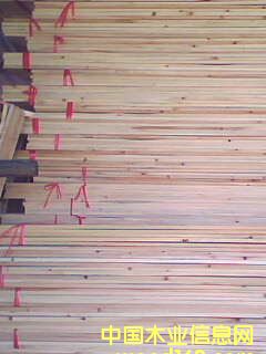 ɼľƴ塾Ӱ塿Ԕ(x)B