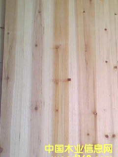 ɼľƴ塾Ӱ塿Ԕ(x)B