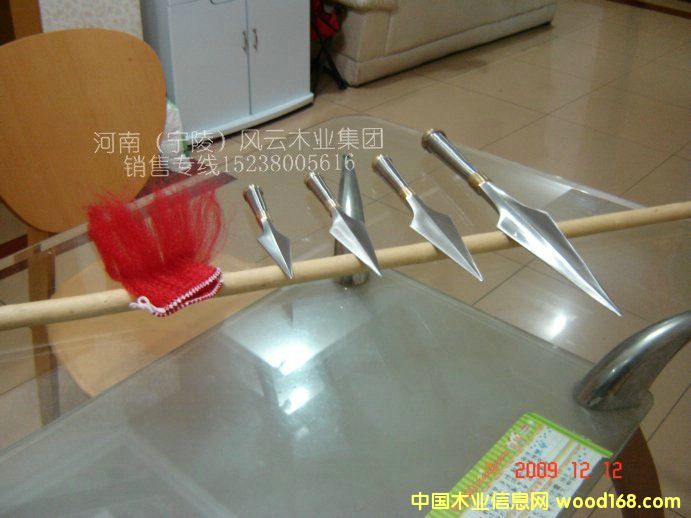 l(f)Pg(sh)tt^(L28~30)Ԕ(x)B