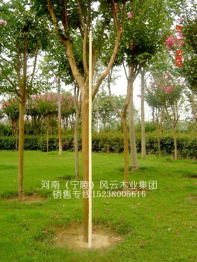 (yng)l(f)ƷϞUg(sh)(L1.6~2,ֱ2.8)5Ԕ(x)B