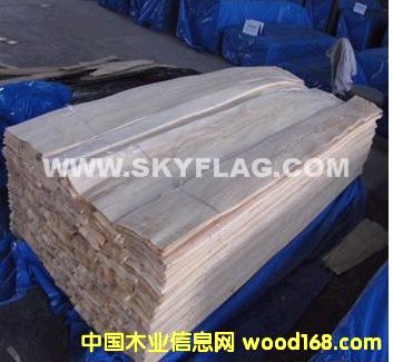 N(xio)ľɽyľƤ      ΢ľ