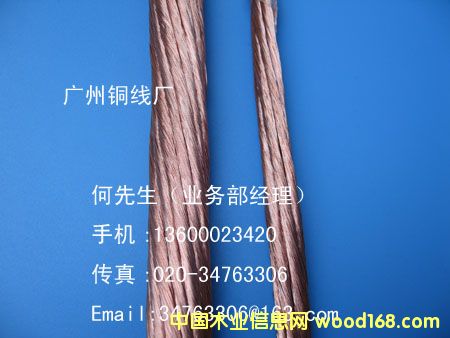 (yng)~ؾ13600023420D