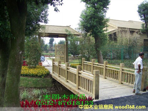 (yng)ľľ(bio)R(sh) 