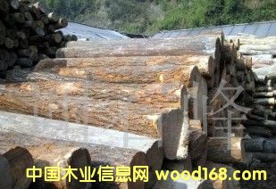 SL(zhng)ڹ(yng)ľԭľ.ģԔ(x)B