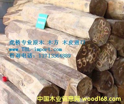 ߘM(jn)ӡľ/L(fng)܇ľ/}ԭľM(jn)ڈ(bo)P(gun)