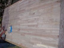 (yng)(yu)|(zh)t(x)ľоԔ(x)B