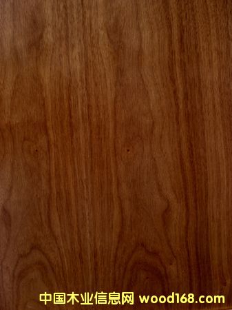 Sr(ji)ֱN~~ںҌ(sh)ľذ